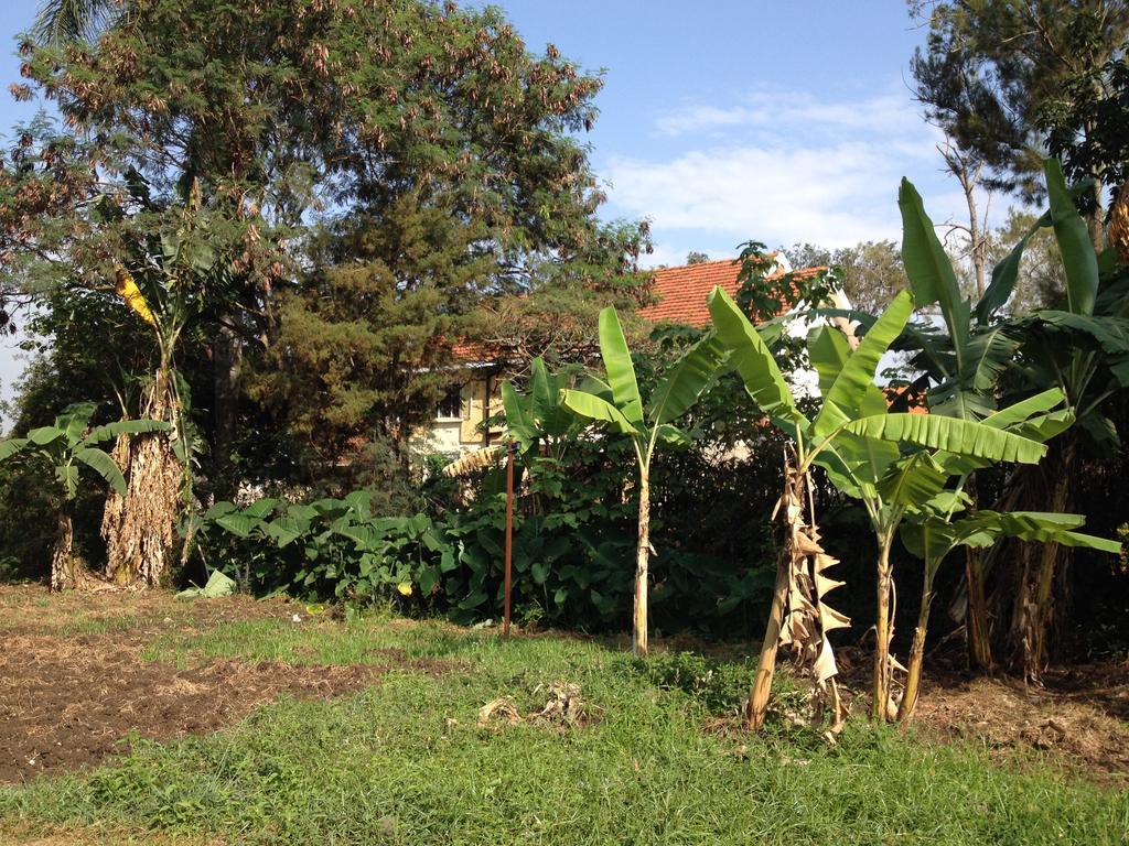 Bikeventures House Uganda Hotel Jinja Buitenkant foto